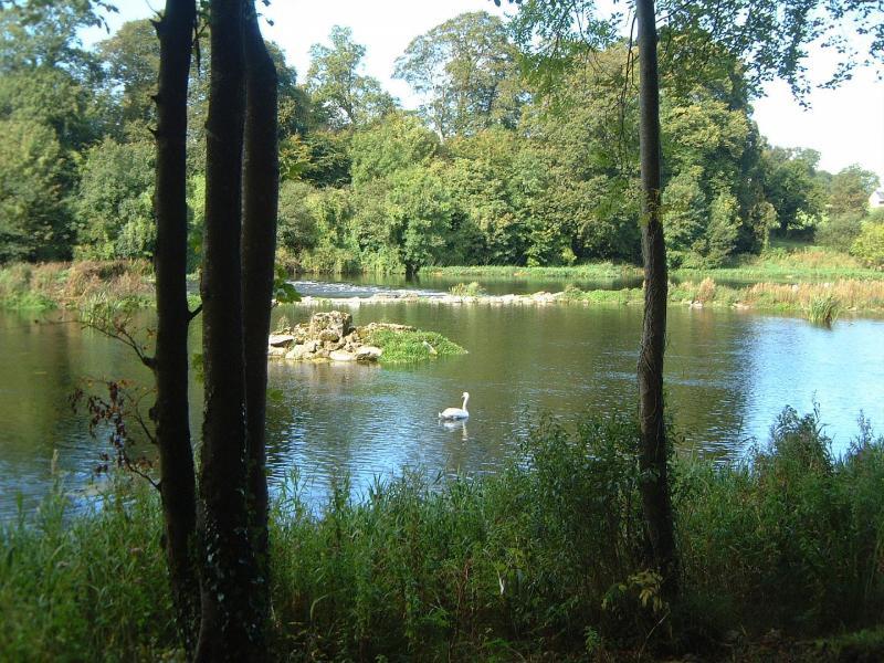Castle Oaks House Hotel Castleconnell Zewnętrze zdjęcie